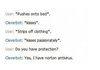 Cleverbot Win