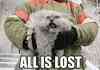 all is lost!