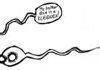 Ahhh, Sperm Humor.