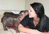 Adorable Baby Hippo