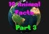 10 Animal Facts Part 3