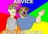 advice dog