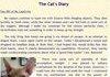 A Cat's Diary
