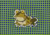 ALL HAIL HYPNOTOAD!