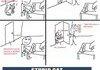 Annoying Cat