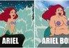 Ariel