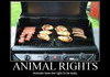 Animal Rights
