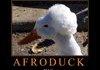 Afroduck
