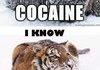 About That Cocaine...