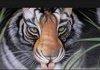 Awesome Tiger Illusion