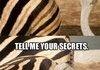 All hail the Zebra Butt!