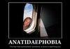 Anatidaephobia