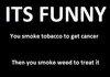 A FACT ABOUT SMOKING