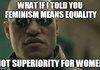 Anti-Feminism posts are kinda stupid