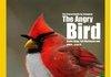 Angry Birds in Nat Geo