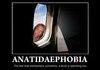 Anatidaephobia