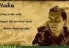 A Haiku