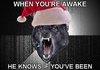 A Christmas Message From Rage Wolf