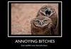 ANNOYING BITCHES