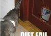 All diets fail