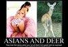 Asians and Deer