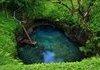 Awesome Pond