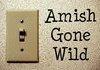 Amish gone Wild