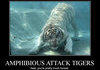 Amphibious Attack Tigers