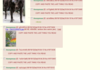 Another 4chan post