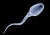 An Old Pic Of Me