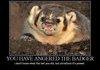 Angry Badger