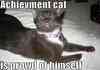 Achievement Cat