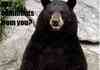 <b>bear</b> message