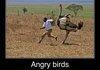 Angry Birds Africa