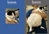 Another Facebook Vs Reality