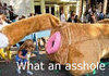 asshole