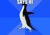 Awkward Penguin