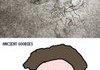 Ancient Goobies