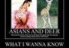 Asians and deer