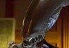 Aliens comp