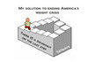 American solution
