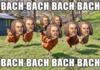 Bach bach