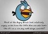 Angry birds on meth
