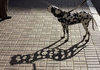 A dalmatian's shadow