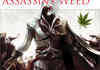 Assassins Weed