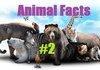 Animal Facts #2