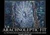 arachnoleptic fit