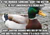 Advice Mallard