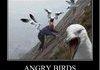 Angry birds