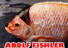ADOLF FISHLER !